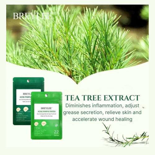 Tea Tree Acne Pimple Patches | Fast Healing by GlowThera